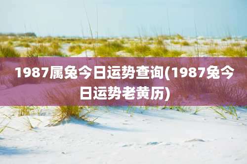 1987属兔今日运势查询(1987兔今日运势老黄历)