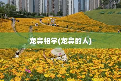 龙鼻相学(龙鼻的人)