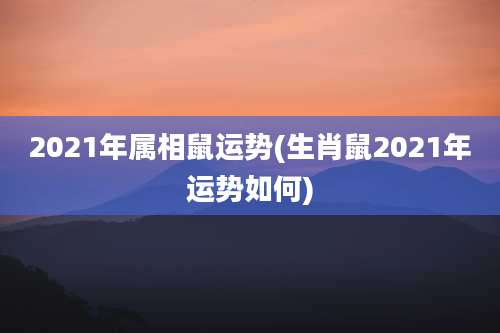 2021年属相鼠运势(生肖鼠2021年运势如何)