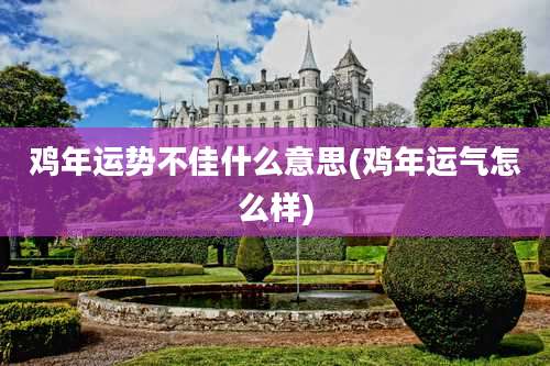 鸡年运势不佳什么意思(鸡年运气怎么样)