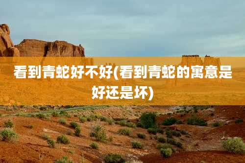 看到青蛇好不好(看到青蛇的寓意是好还是坏)