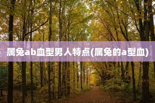 属兔ab血型男人特点(属兔的a型血)