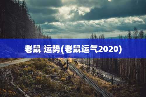 老鼠 运势(老鼠运气2020)