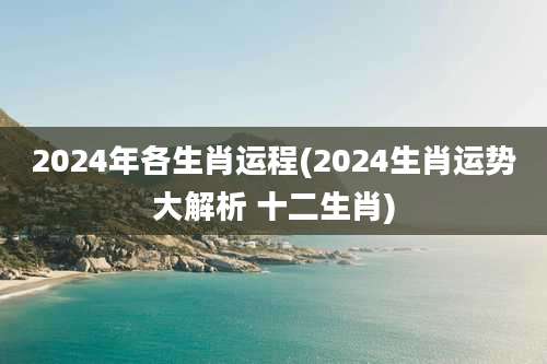 2024年各生肖运程(2024生肖运势大解析 十二生肖)
