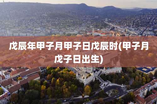 戊辰年甲子月甲子日戊辰时(甲子月戊子日出生)