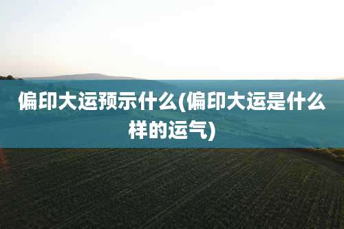 偏印大运预示什么(偏印大运是什么样的运气)