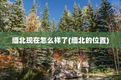 缅北现在怎么样了(缅北的位置)