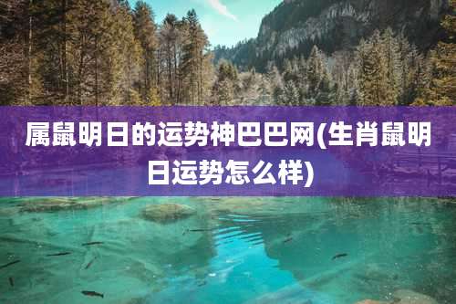 属鼠明日的运势神巴巴网(生肖鼠明日运势怎么样)