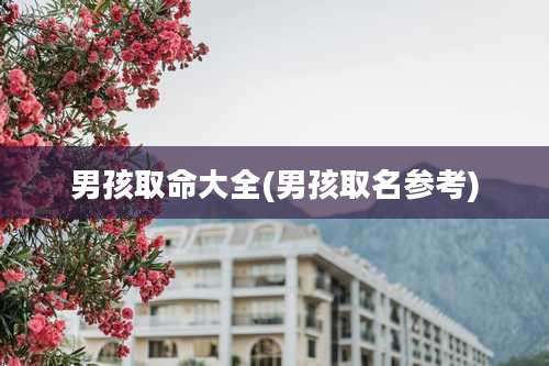 男孩取命大全(男孩取名参考)