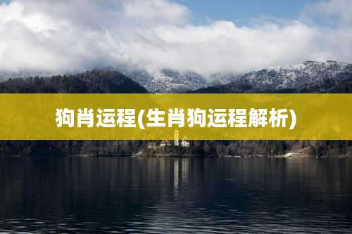 狗肖运程(生肖狗运程解析)