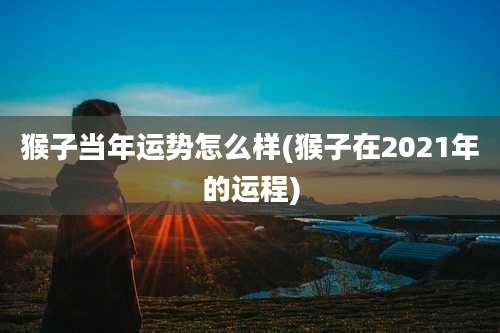 猴子当年运势怎么样(猴子在2021年的运程)