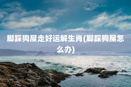 脚踩狗屎走好运解生肖(脚踩狗屎怎么办)