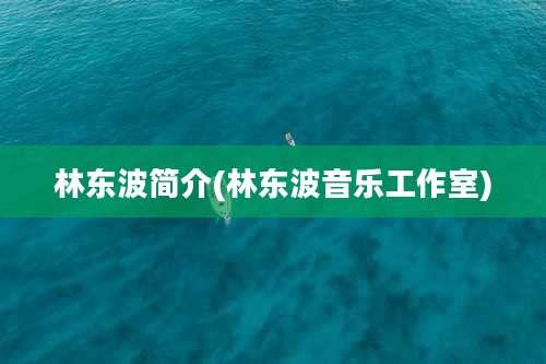 林东波简介(林东波音乐工作室)