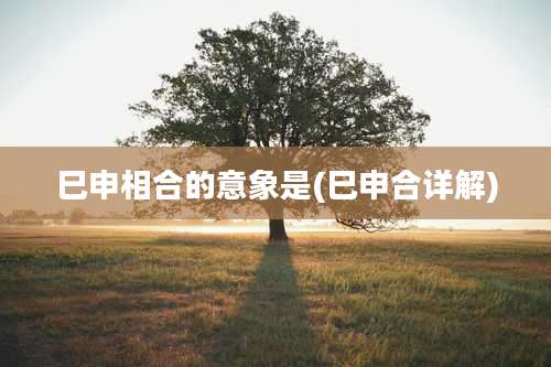 巳申相合的意象是(巳申合详解)