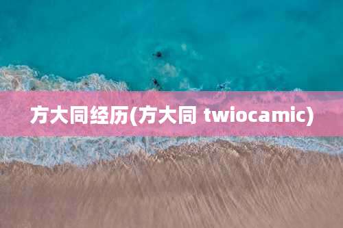 方大同经历(方大同 twiocamic)