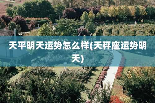 天平明天运势怎么样(天秤座运势明天)