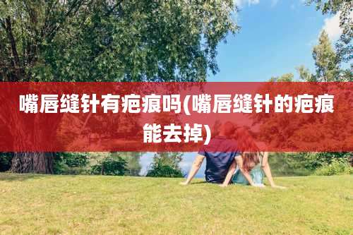 嘴唇缝针有疤痕吗(嘴唇缝针的疤痕能去掉)