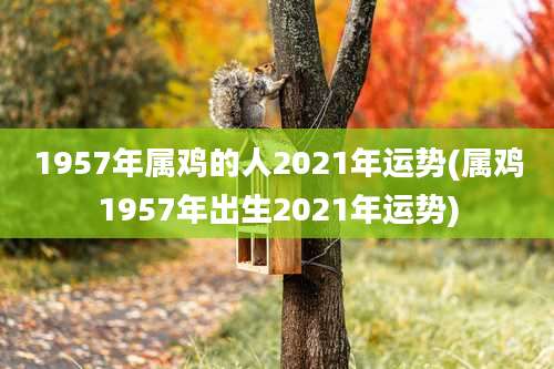 1957年属鸡的人2021年运势(属鸡1957年出生2021年运势)