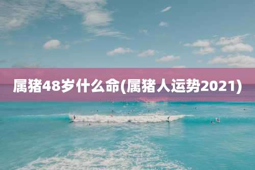 属猪48岁什么命(属猪人运势2021)