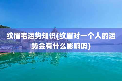 纹眉毛运势知识(纹眉对一个人的运势会有什么影响吗)