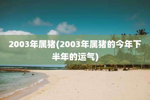 2003年属猪(2003年属猪的今年下半年的运气)