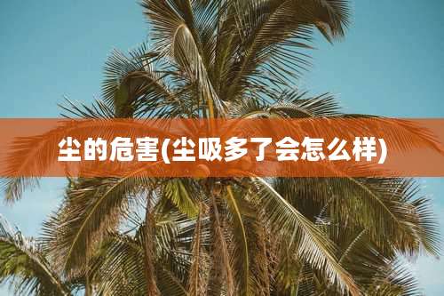 尘的危害(尘吸多了会怎么样)