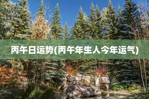 丙午日运势(丙午年生人今年运气)