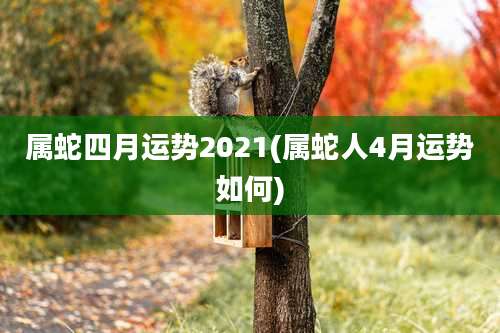 属蛇四月运势2021(属蛇人4月运势如何)