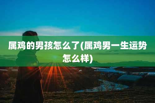 属鸡的男孩怎么了(属鸡男一生运势怎么样)