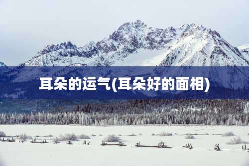 耳朵的运气(耳朵好的面相)