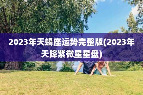 2023年天蝎座运势完整版(2023年天降紫微星星盘)