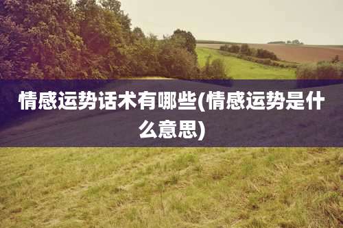 情感运势话术有哪些(情感运势是什么意思)
