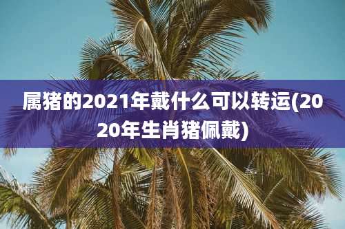 属猪的2021年戴什么可以转运(2020年生肖猪佩戴)