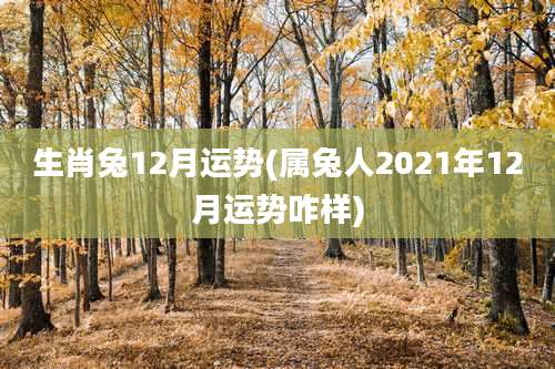 生肖兔12月运势(属兔人2021年12月运势咋样)