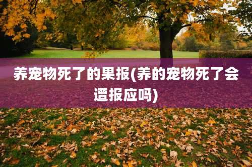 养宠物死了的果报(养的宠物死了会遭报应吗)