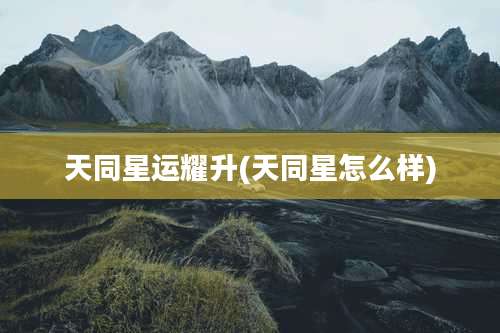 天同星运耀升(天同星怎么样)