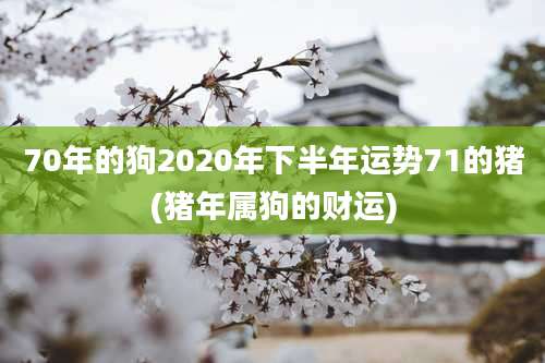 70年的狗2020年下半年运势71的猪(猪年属狗的财运)