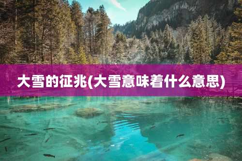 大雪的征兆(大雪意味着什么意思)
