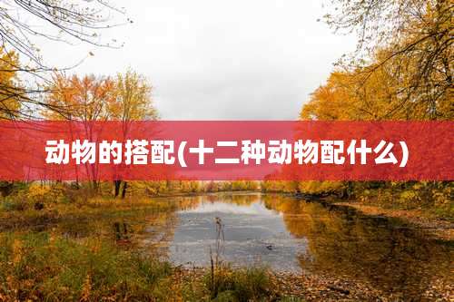 动物的搭配(十二种动物配什么)
