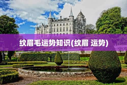 纹眉毛运势知识(纹眉 运势)