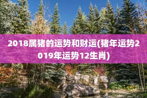 2018属猪的运势和财运(猪年运势2019年运势12生肖)