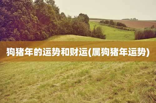 狗猪年的运势和财运(属狗猪年运势)