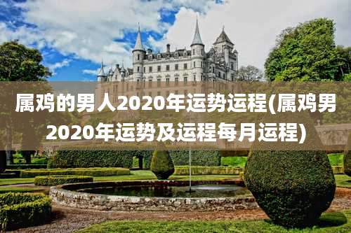 属鸡的男人2020年运势运程(属鸡男2020年运势及运程每月运程)