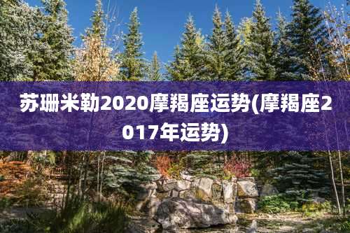 苏珊米勒2020摩羯座运势(摩羯座2017年运势)