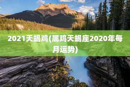 2021天蝎鸡(属鸡天蝎座2020年每月运势)