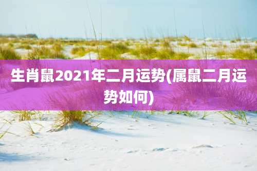 生肖鼠2021年二月运势(属鼠二月运势如何)