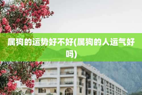 属狗的运势好不好(属狗的人运气好吗)
