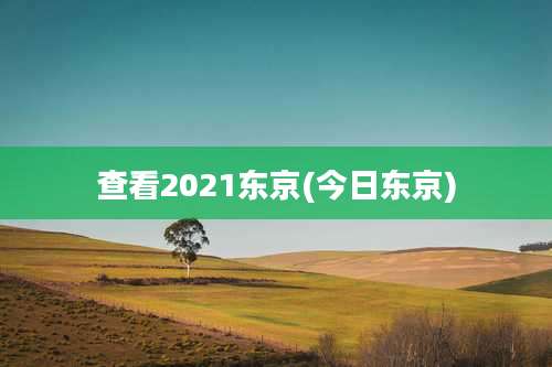 查看2021东京(今日东京)