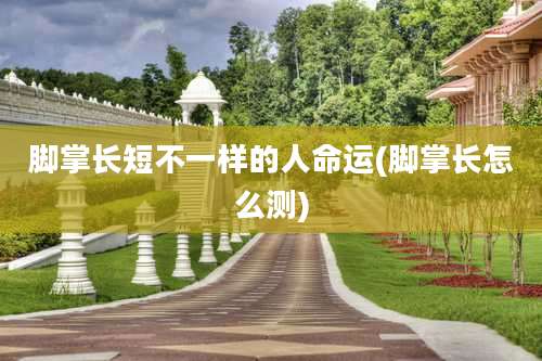 脚掌长短不一样的人命运(脚掌长怎么测)