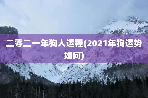 二零二一年狗人运程(2021年狗运势如何)